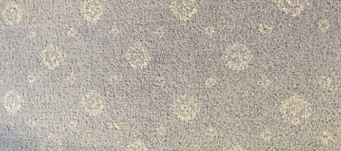 Carpet Steam Cleaning NewCastle